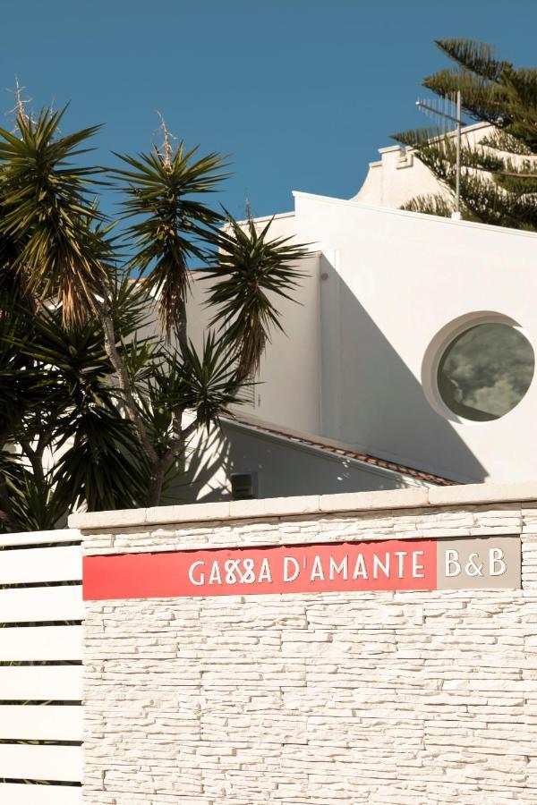 B&B Gassa D'Amante Βιέστε Εξωτερικό φωτογραφία