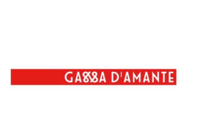 B&B Gassa D'Amante Βιέστε Εξωτερικό φωτογραφία